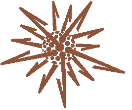 SpiDot Antibiotin